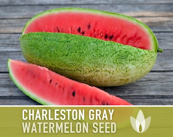 Charleston Grey Watermelon Seeds Organc Non Gmo | Etsy