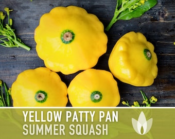 Yellow Scallop Patty Pan Bush Summer Squash Heirloom Seeds