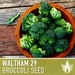 see more listings in the Vegetable Seeds section