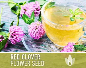 Red Clover Seeds - Heirloom, Sprouting Seeds, Herbal Tea, Microgreens, Juicing, Cover Crop, Open Pollinated, Non-GMO