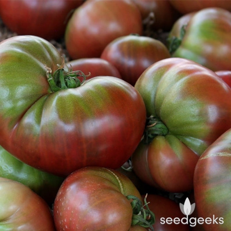 Cherokee Purple Tomato Heirloom Seeds Etsy