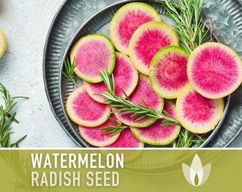 Watermelon Radish Heirloom Seeds