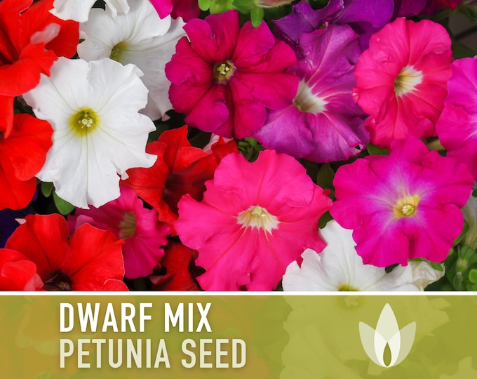 100+ Trailing Petunia Seeds / Petunia Hybryda Pendula Mix / Cottage ...