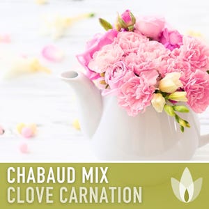 Chabaud Clove Carnation Seeds | 25+ Seeds, Heirloom Rainbow Flowers, Fragrant, Cottage Garden, Dianthus caryophyllus image 9