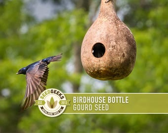 Birdhouse Bottle Gourd Seeds - Heirloom, Open Pollinated
