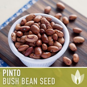 Pinto Bean Seeds - Heirloom Seeds, Runner Bean Seeds, Refried Beans, Soup Bean, Open Pollinated, Untreated, Non-GMO
