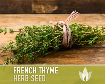 French Thyme Seeds - Heirloom Seeds, Medicinal Herb, Culinary Herb, Summer Thyme, Kitchen Herb, Vulgaris, Open Pollinated, Non-GMO