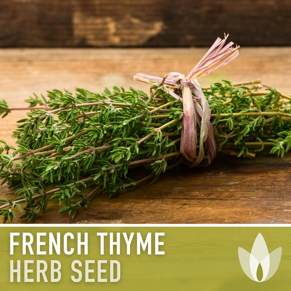 French Thyme Seeds - Heirloom Seeds, Medicinal Herb, Culinary Herb, Summer Thyme, Kitchen Herb, Vulgaris, Open Pollinated, Non-GMO