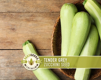 Grey Zucchini Heirloom Seeds - Speckled, Non-GMO