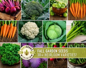 Fall Garden Seeds | Autumn Season Vegetables, 30+ Varieties, Broccoli Spinach Kale Radish Beet Carrot
