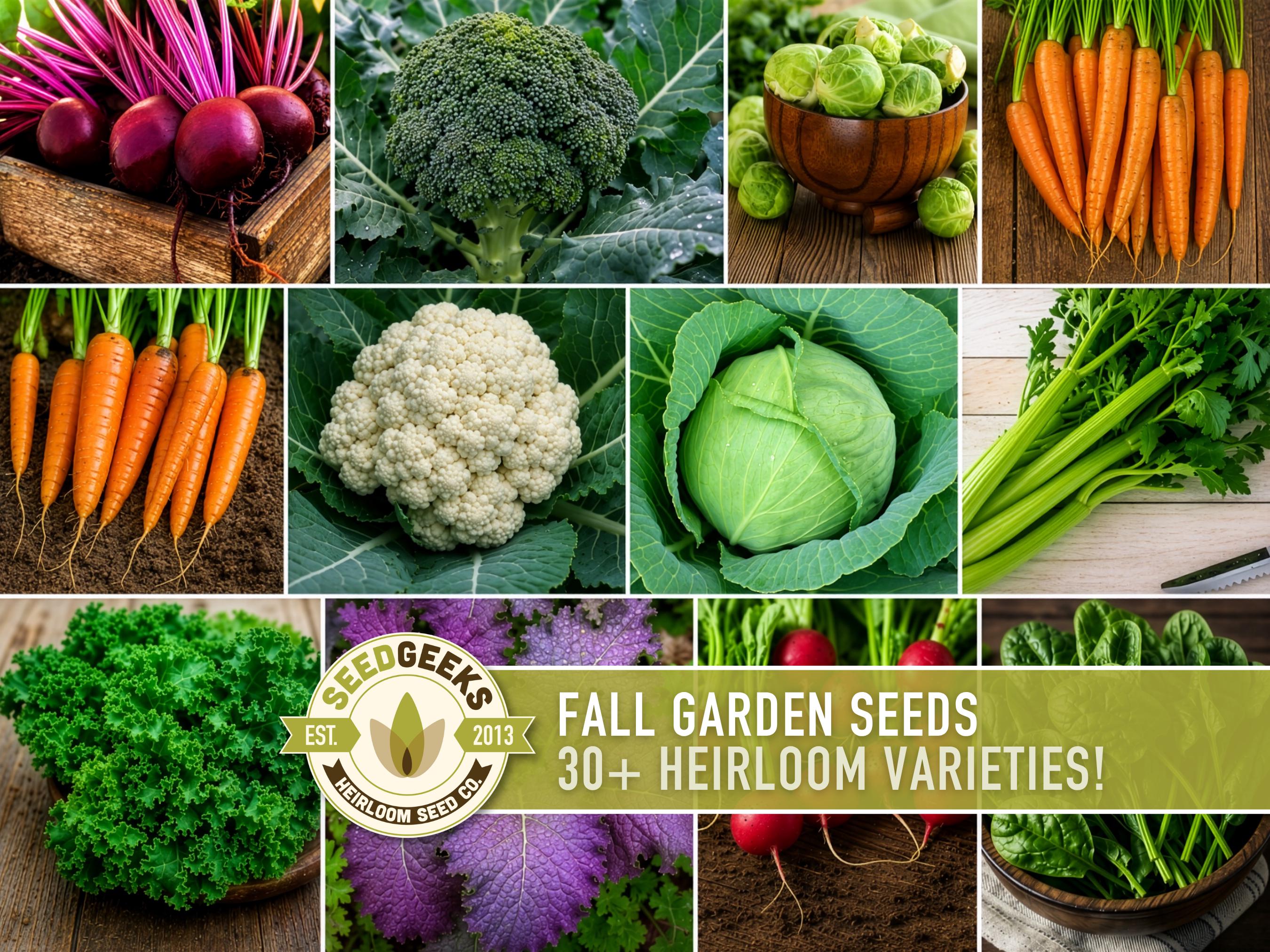 Fall Garden Seeds | Autumn Season Vegetables, 30+ Varieties, Broccoli Spinach Kale Radish Beet Carrot