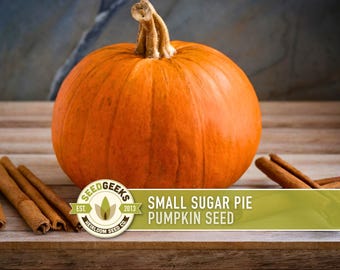 Graines de citrouille pour tarte au sucre | Plus de 20 graines, héritage, sans OGM, pollinisation libre, courge d'hiver, Cucurbita pepo