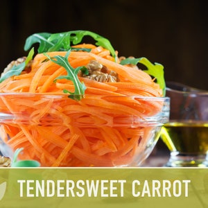 Tendersweet Carrot Heirloom Seeds Seed Packets, Orange Carrot Seeds, Juicing Carrot, Rainbow Carrot, Easy to Grow, Open Pollinated,Non-GMO image 8