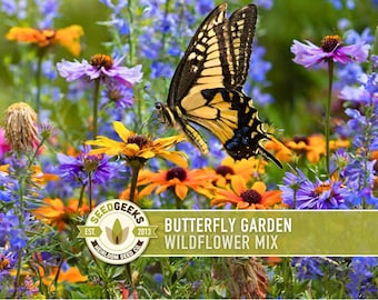 Butterfly Garden Flower Seeds Mix, Pollinator Wildflower Seeds