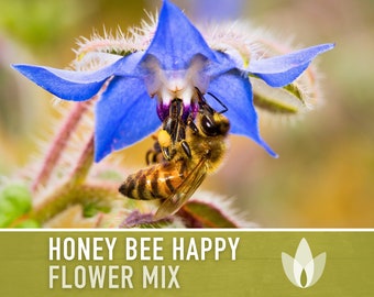 Honey Bee Happy Mix Heirloom Seeds, Flower Seeds, Wildflower