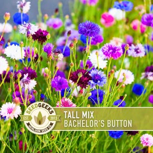 May include: A colourful field of Tall Mix Bachelor's Button flowers in shades of blue, purple, pink, and white. The image shows a variety of blooms with green stems and foliage. The Seed Geeks logo is in the lower left corner.