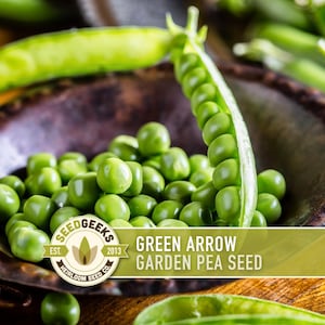 Green Arrow Garden Pea Heirloom Seeds