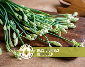 Garlic Chives Seeds | 100+ Seeds, Herb, Non-GMO Heirloom, Culinary & Medicinal, Allium tuberosum