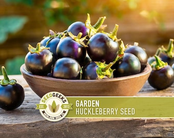Garden Huckleberry Seeds - 20+ Heirloom Non-GMO Berry Seeds
