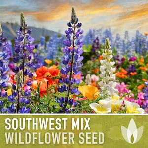May include: A field of colorful wildflowers, including purple lupine, orange poppies, and white flowers. The text "Southwest Mix Wildflower Seed" is displayed at the bottom of the image.