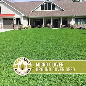 May include: A lush green lawn of micro clover in front of a large house. The lawn is a vibrant green, with a dense, even coverage. A logo with the text "Seed Geeks" and "Micro Clover Ground Cover Seed" is visible.