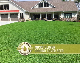 Micro (Mini) Clover Seeds | 400,000+ Seeds (1 lb), Microclover, Drought-Tolerant Lawn Alternative | Trifolium repens