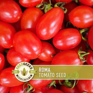 Roma Tomato Seeds | 30+ Seeds, Paste, Non-GMO, Heirloom, Compact, Sauce & Canning, Lycopersicon lycopersicum