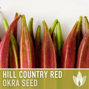 Hill Country Red Okra Seeds - Heirloom Seeds, Southern Texas Okra, Early Harvest, High Yield, Heat Tolerant, Abelmoschus Esculentus, Non-GMO