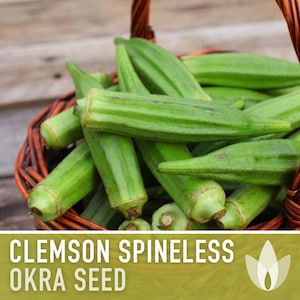 Clemson Spineless Okra Heirloom Seeds