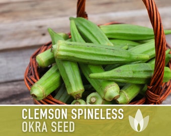 Clemson Spineless Okra Heirloom Seeds