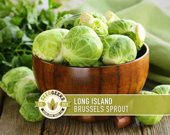Long Island Improved Brussels Sprout Seeds - Heirloom, Open Pollinated, Non-GMO