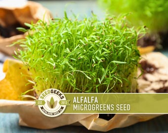 May include: A close-up of a vibrant green cluster of alfalfa microgreens. The microgreens are displayed on a bed of brown paper, with a logo that reads "Seed Geeks" and the text "Alfalfa Microgreens Seed".