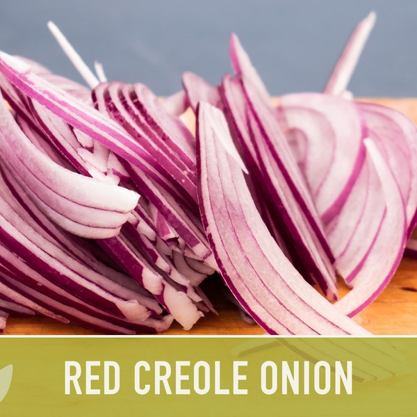 Short Day Onion Sets Etsy