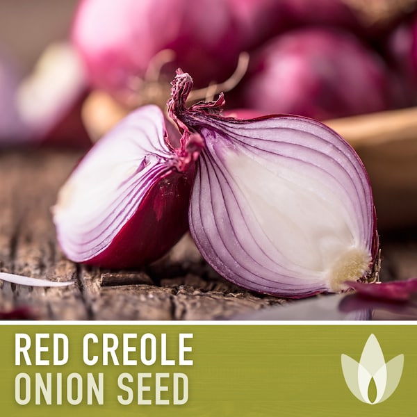 Red Creole Onion Heirloom Seeds - Short Day, Open Pollinated, Non-GMO