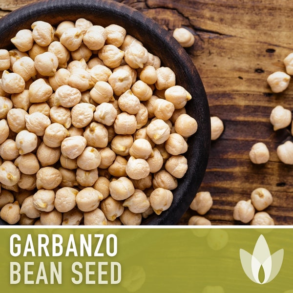Garbanzo Bean Seeds - Heirloom Seeds, Chickpea Seeds, Bush Bean, Microgreens, Sprouting Seeds, Hummus, Open Pollinated, Untreated, Non-GMO