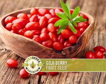 Goji Berry Seeds – Heirloom Chinese Wolfberry, Superfood (50 Seeds)