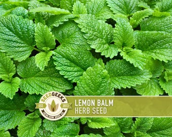 Lemon Balm Herb Heirloom Seeds