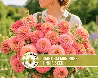 Benary's Giant Salmon Rose Zinnia Seed | Flower Seeds, Cut Flower, Huge Blooms | Zinnia elegans