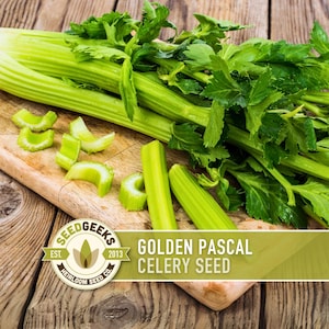 May include: Fresh green celery stalks and leaves on a wooden cutting board. Several celery pieces are cut and ready to eat. The image includes a banner that reads "Golden Pascal Celery Seed".