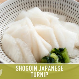 Shogoin Japanese Turnip Heirloom Seeds - Root Vegetables, Fall Garden, Microgreens, Container Garden, Non-GMO Bild 8