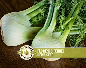 May include: Image of fresh Florence fennel bulbs with green stalks and feathery fronds. The image includes a logo that reads "Seed Geeks" and the text "Florence Fennel Herb Seed" on a green banner. The fennel is on a dark wooden surface.
