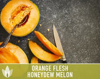Orange Flesh Honeydew Melon