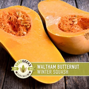 May include: Two halves of a butternut squash, cut open to reveal the seeds and flesh. The squash is a vibrant orange color. Text on the image reads "Waltham Butternut Winter Squash" and "Seed Geeks".