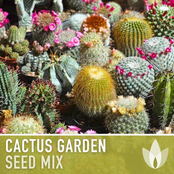 Cactus Seed, Garden Mix - Heirloom Seeds, Perennial, Desert Native Plants, Houseplants, Landscaping Plants, Easy To Grow, Non-GMO