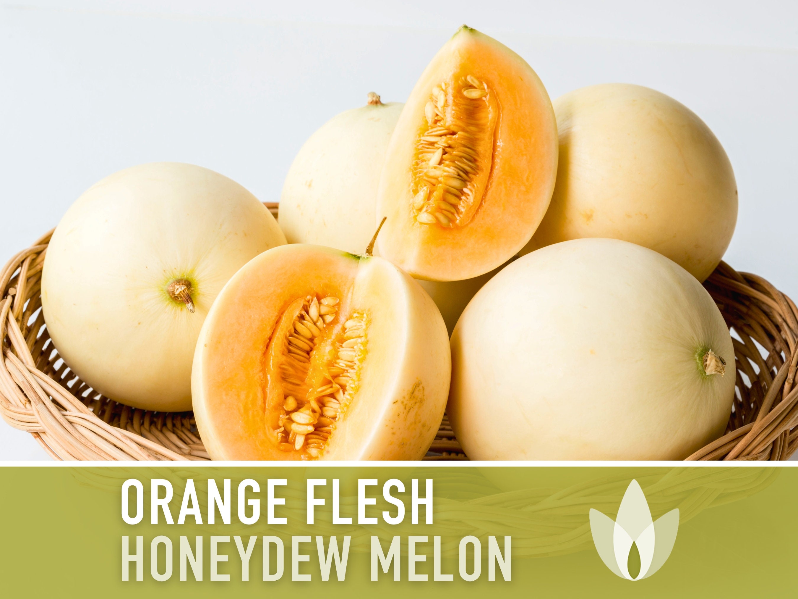 Honeydew Orange Melon Seeds - Heirloom – Hometown Seeds