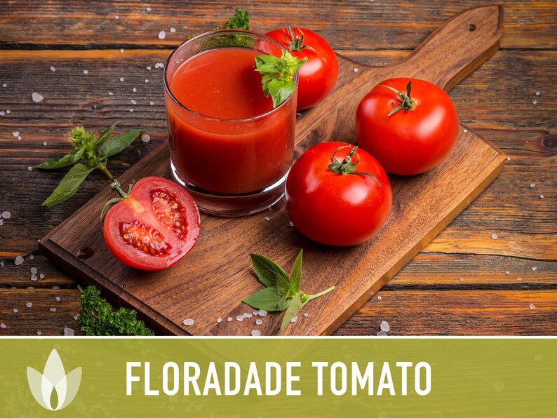 Floradade Tomato Seeds Heirloom Seeds Determinate Sauce Etsy