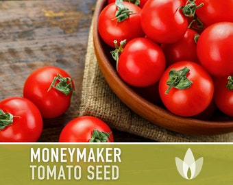 Moneymaker Tomato Seeds - Heirloom Seeds, Indeterminate, Slicing Tomato, Sauce Tomato, High Yield, Heat Loving, Salsa Garden, Non-GMO