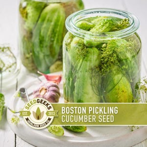 May include: Two glass jars filled with green pickles and dill, with a white plate holding a garlic bulb and a Seed Geeks logo. The jars are labeled "Boston Pickling Cucumber Seed."