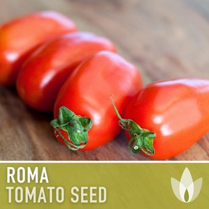 Roma Tomato Heirloom Seeds Paste Tomato, Seed Packet, Non-GMO, Open Pollinated image 1