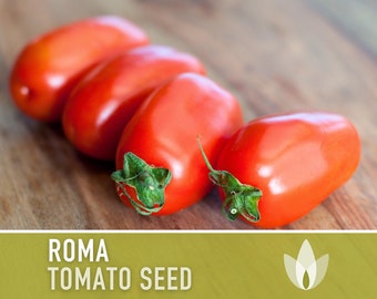 Roma Tomato Heirloom Seeds - Paste Tomato, Seed Packet, Non-GMO, Open Pollinated